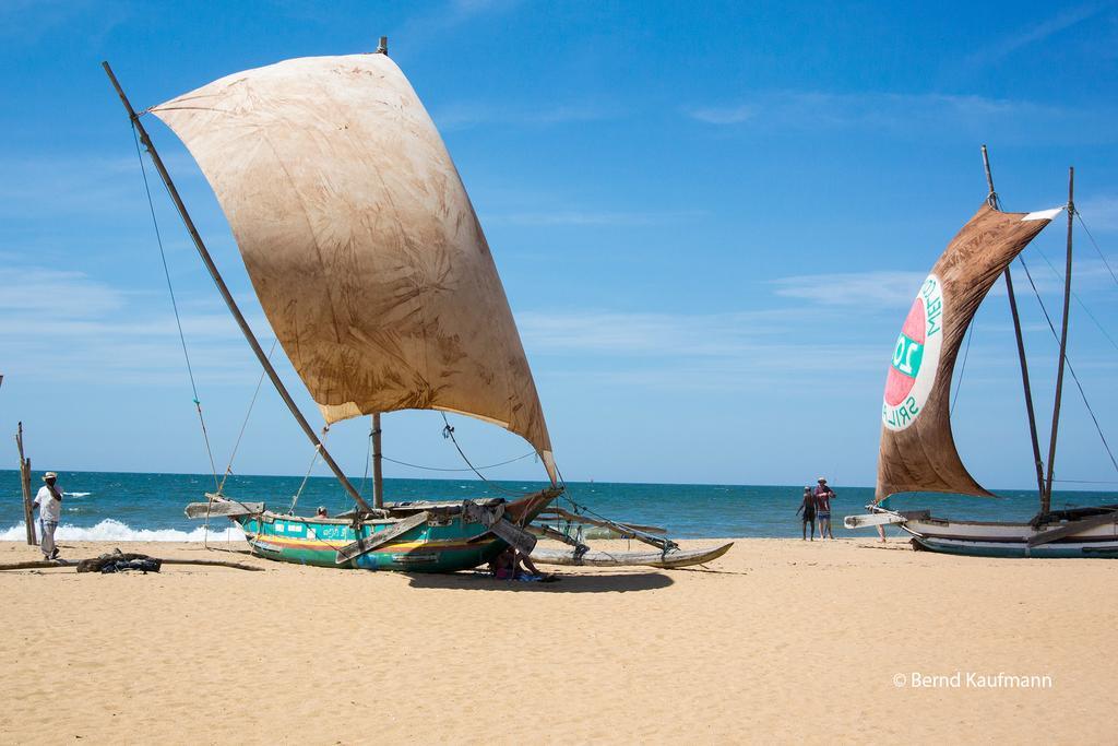 Suriya Arana Bed & Breakfast Negombo Eksteriør bilde